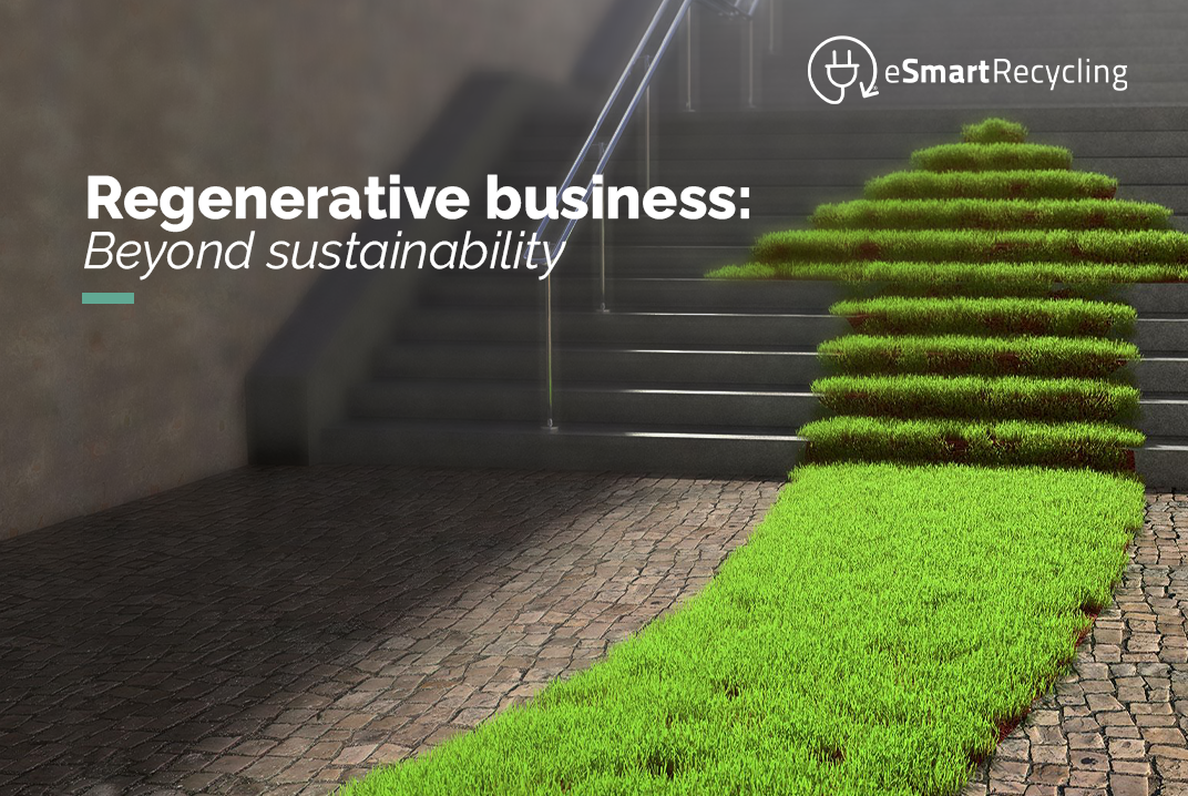Regenerative business sustainability