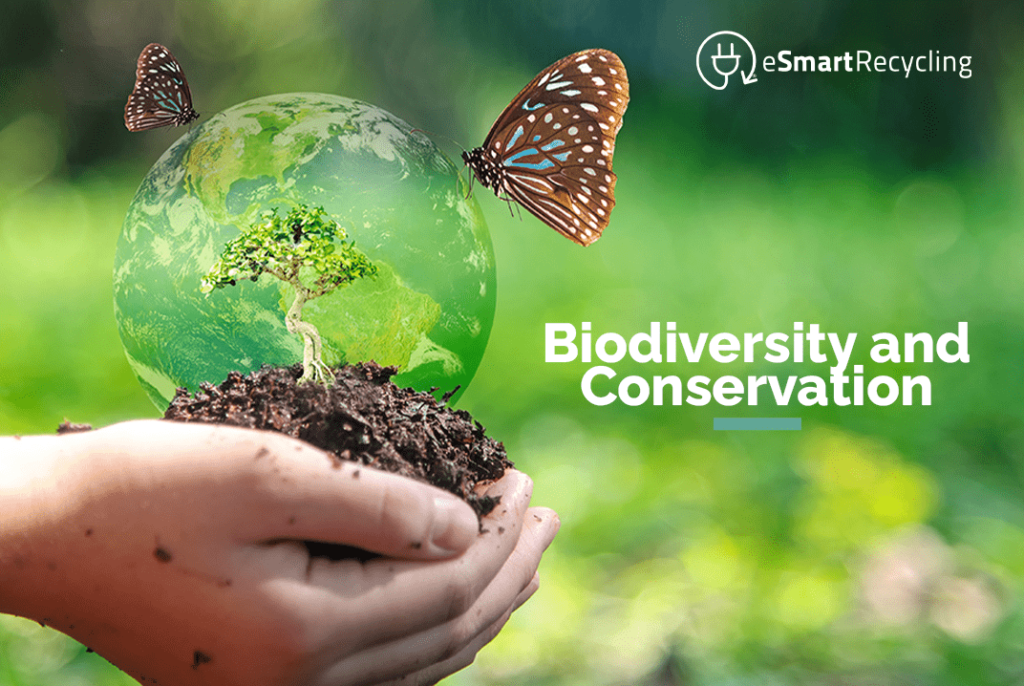 Biodiversity and Conservation eSmart