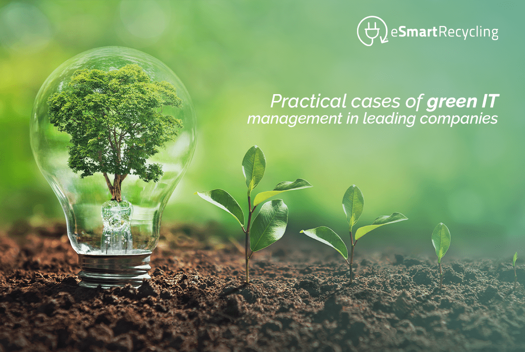 Practical cases of green IT management in leading companies
