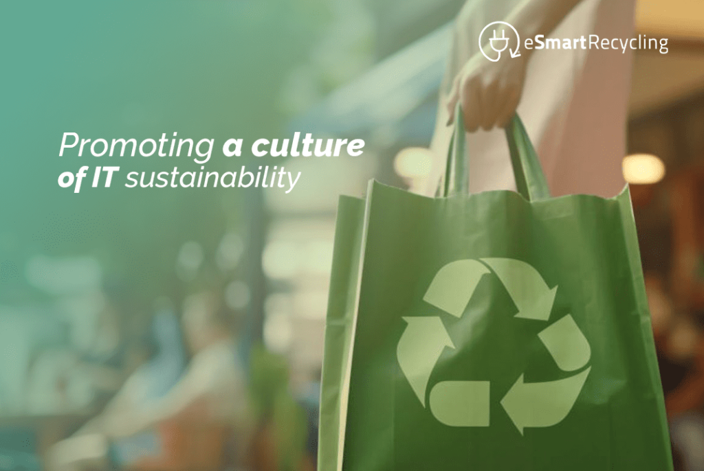 Promoting a culture of IT sustainability