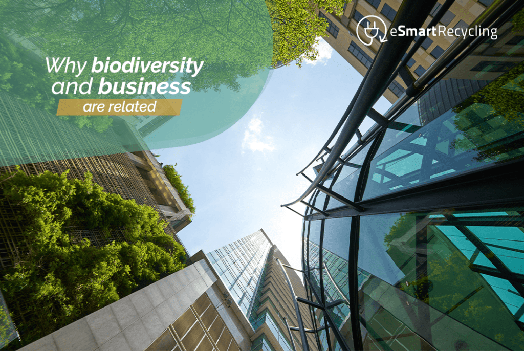 Why biodiversity and business are related