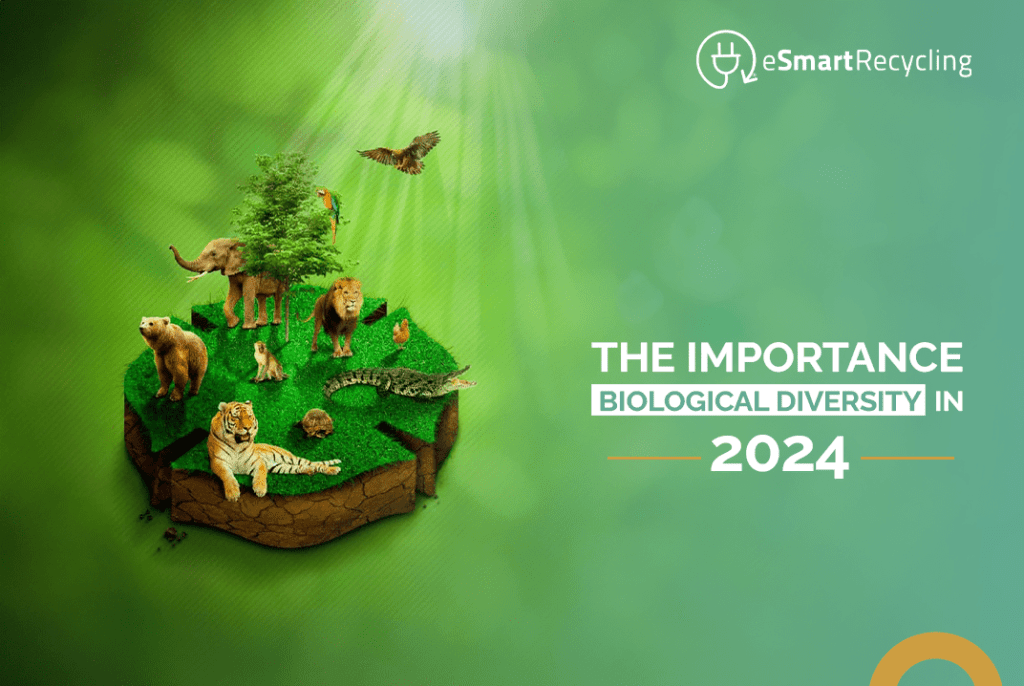 the importance biological diversity in 2024 esmart recycling